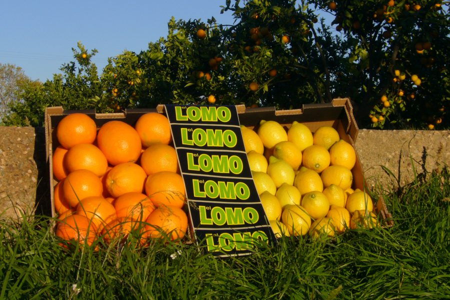 Caja de limones y naranjas de El Lomo Trading